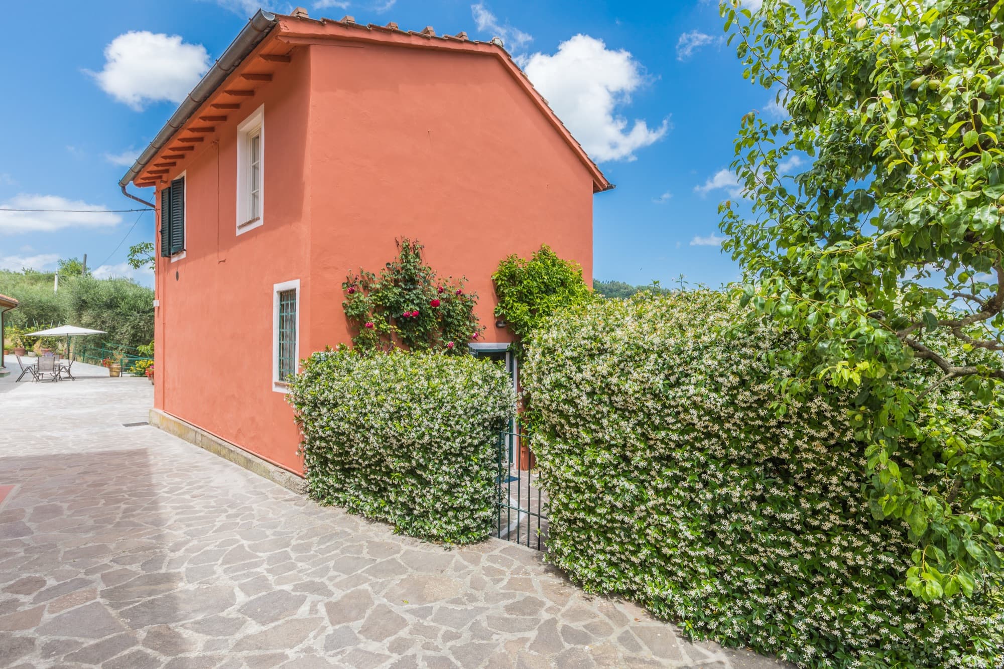 Gelsomino — accommodation at Tenuta Bellosguardo